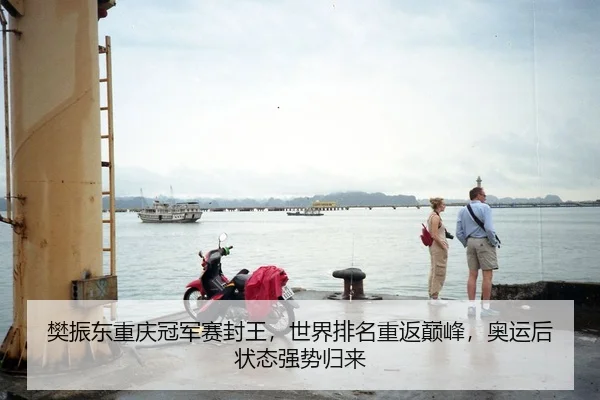 樊振东重庆冠军赛封王，世界排名重返巅峰，奥运后状态强势归来